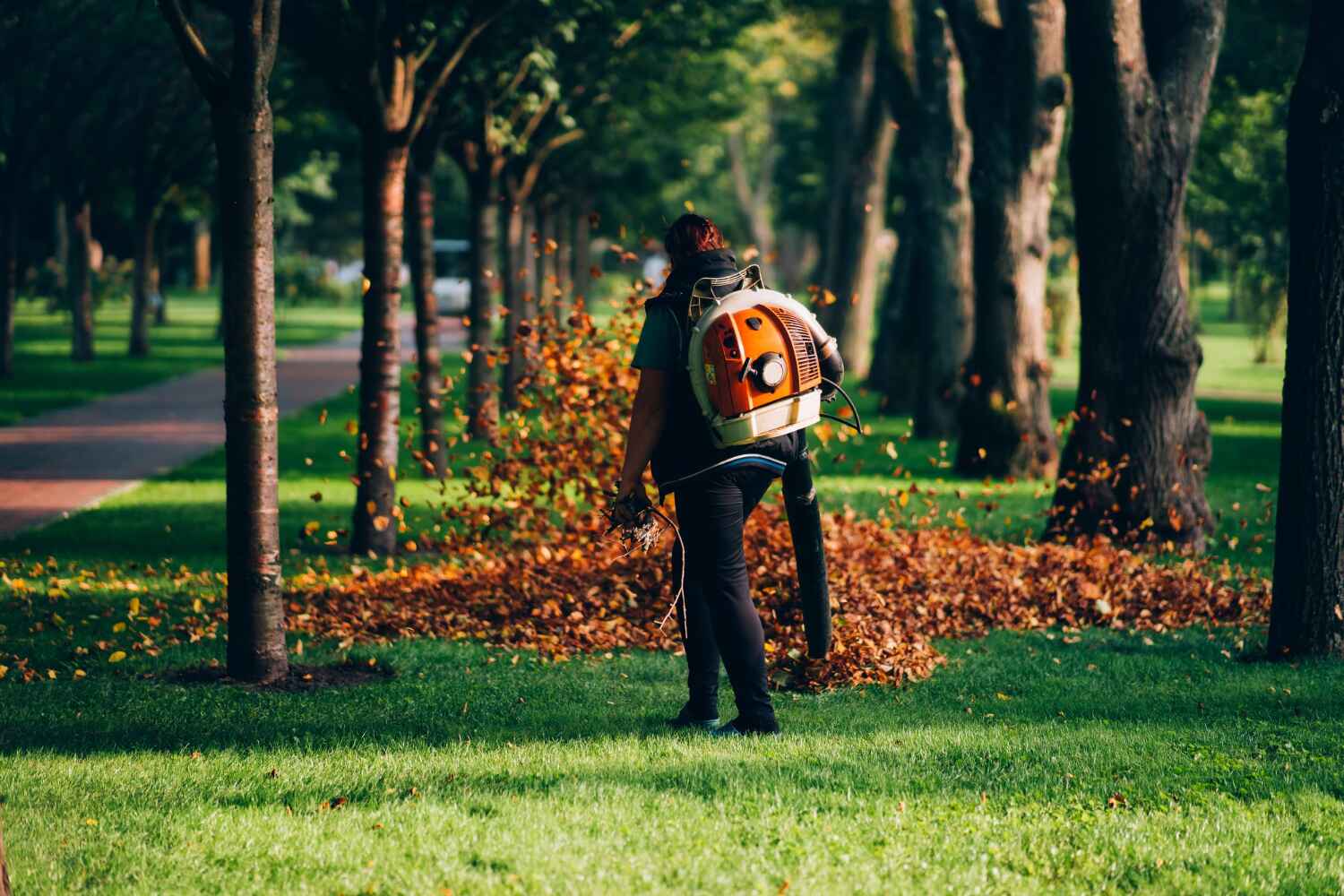 Best Tree Trimming Near Me  in Third Lake, IL